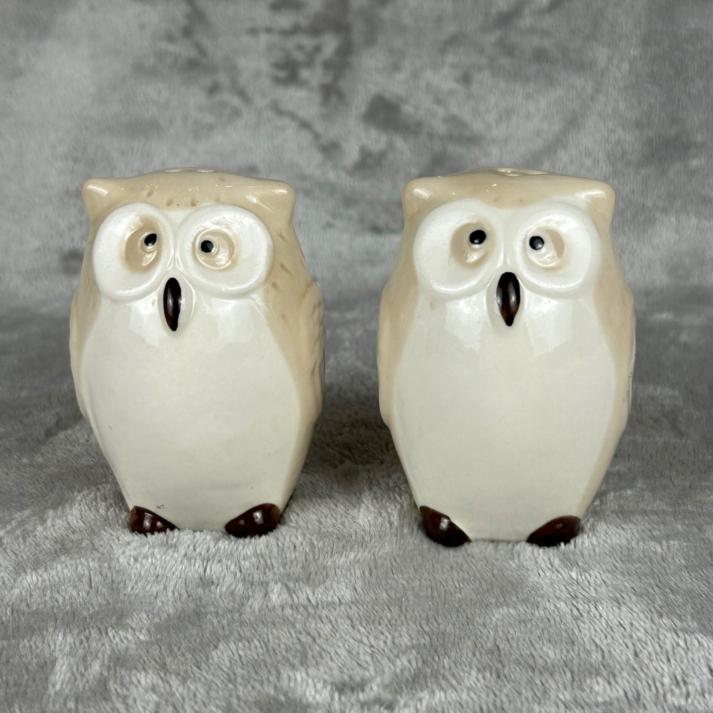 Pier 1 Imports Owl Salt and Pepper Shaker Set Ceramic Tan Cream Bird Figurines